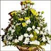 Chilling Touch - Click here to View more details about this Product